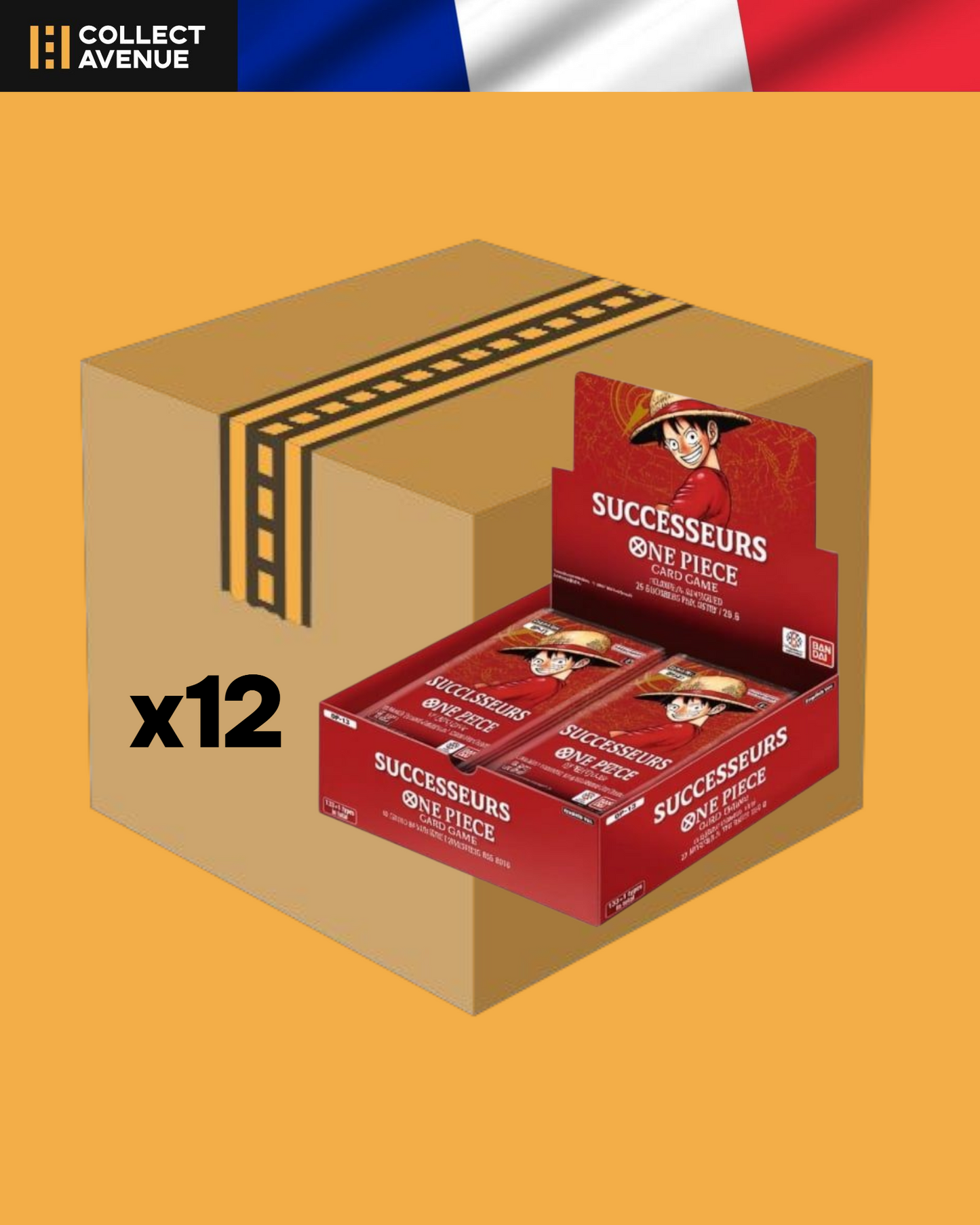 ☠️🚦One Piece - Case de 12 Displays - OP13 Successeurs - Version Française🚦☠️