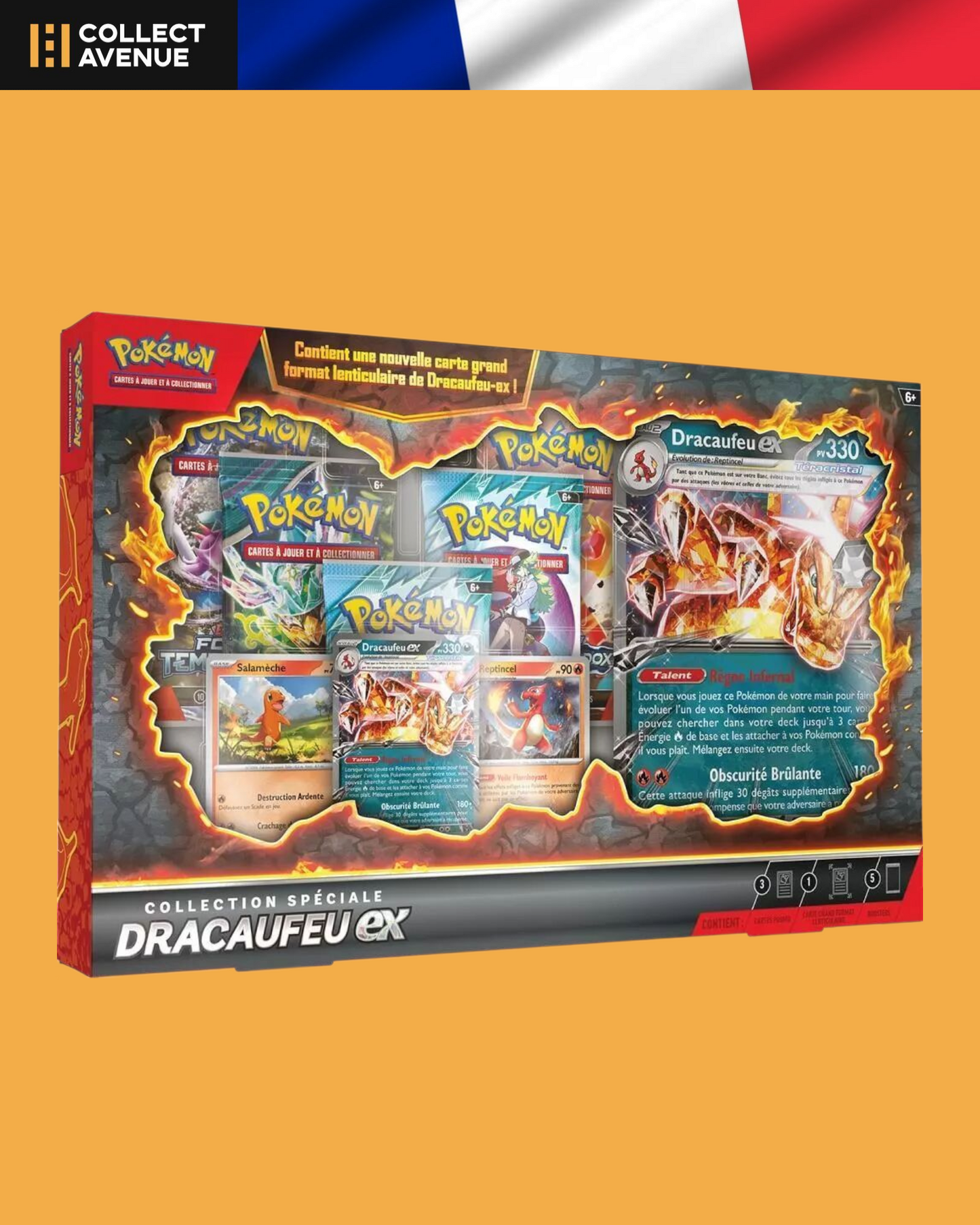 🚦Pokémon - Pack de Partage Spécial N°2 Août 2025 FR🚦