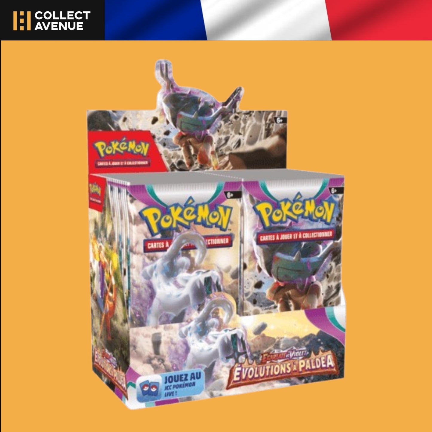 Pokémon - Display 36 Boosters Evolution à EV02 - Version Française