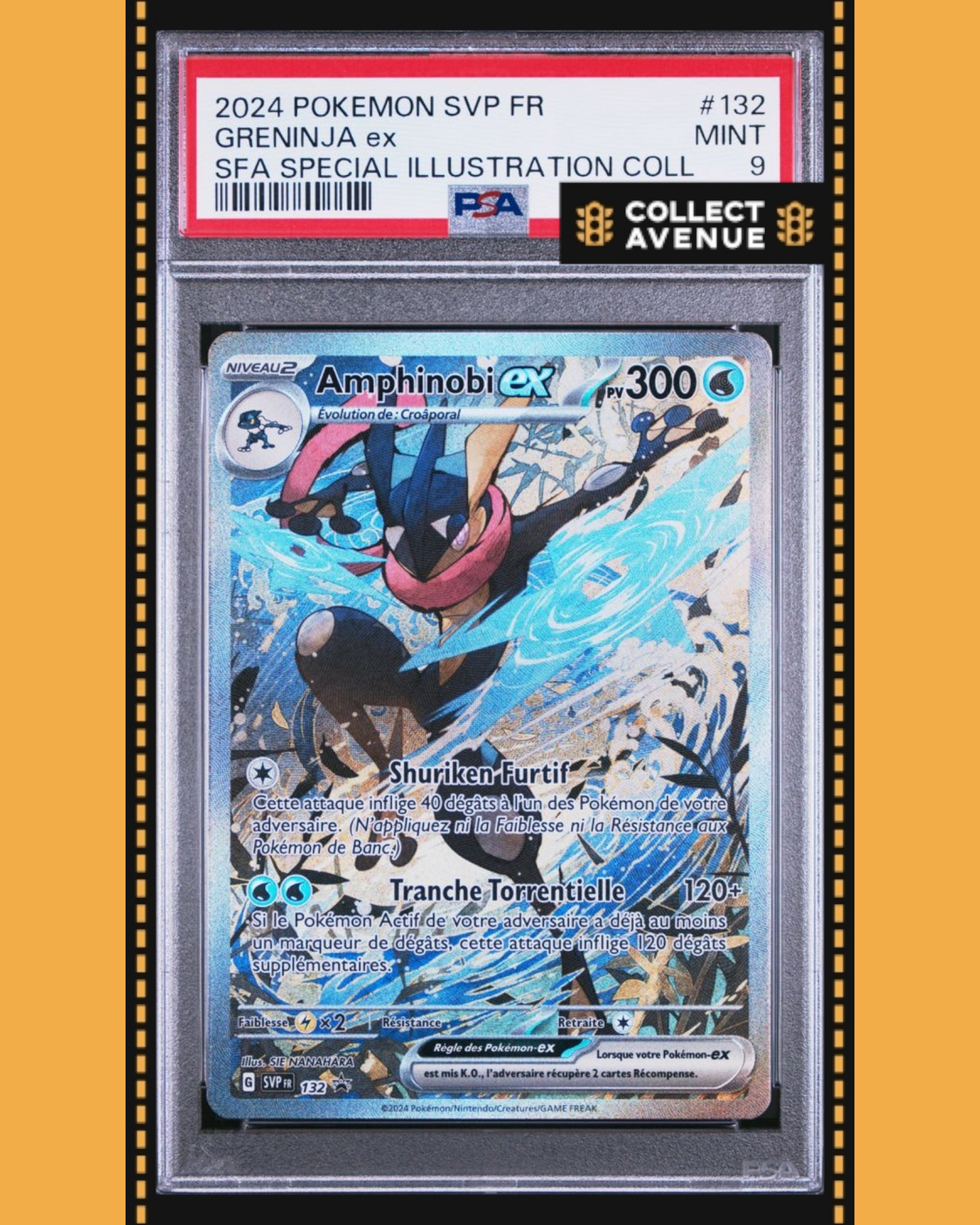 🚦2024 POKEMON PSA 9 AMPHINOBI EX 132 PROMO FR🚦