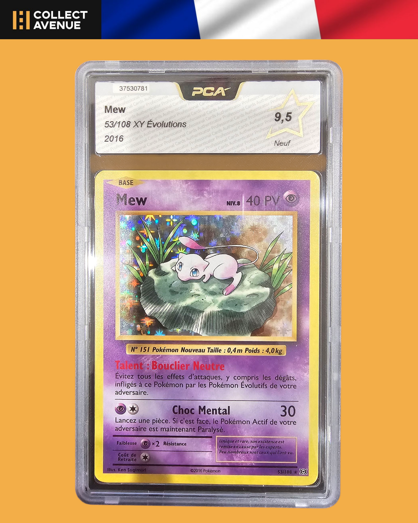 🚦PCA 9,5 Pokémon Mew Holo 53/108 XY Evolutions FR🚦