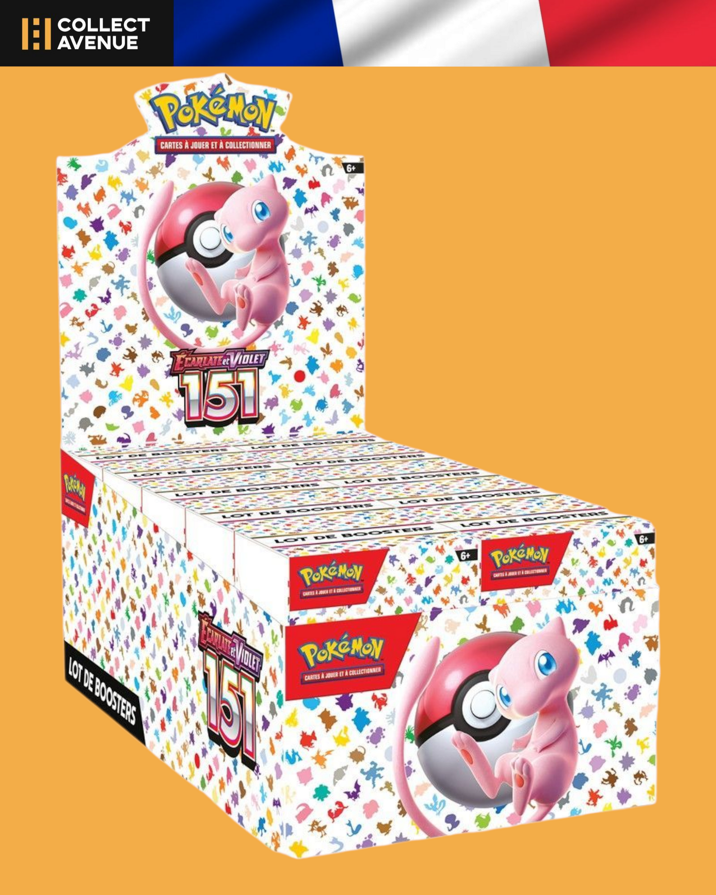 Display Bundle Pokémon 151 version française, neuf et scellé – Collect Avenue