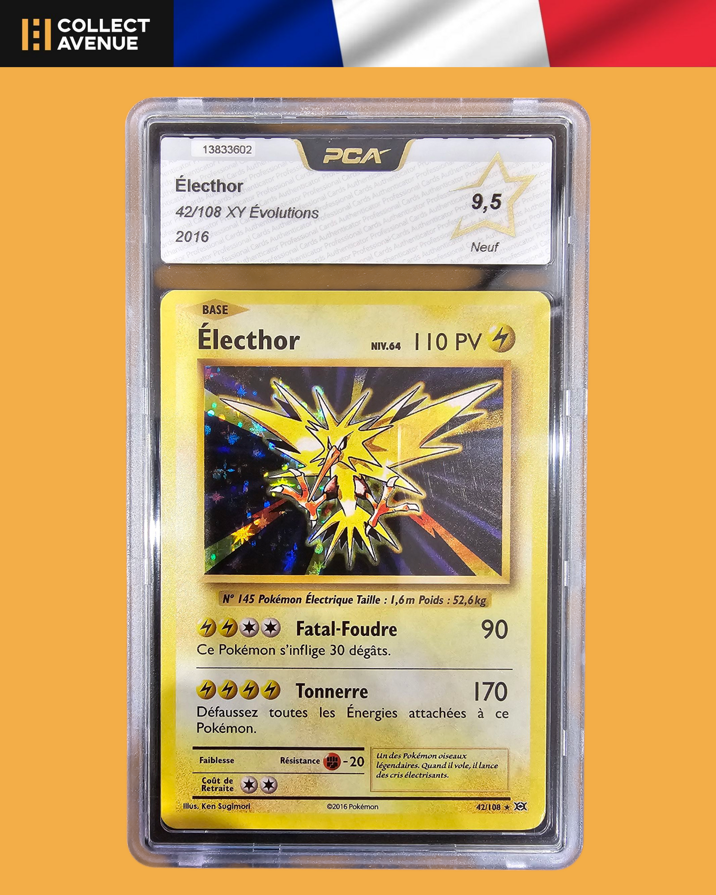 🚦PCA 9,5 Pokémon Électhor Holo 42/108 XY Evolutions FR🚦