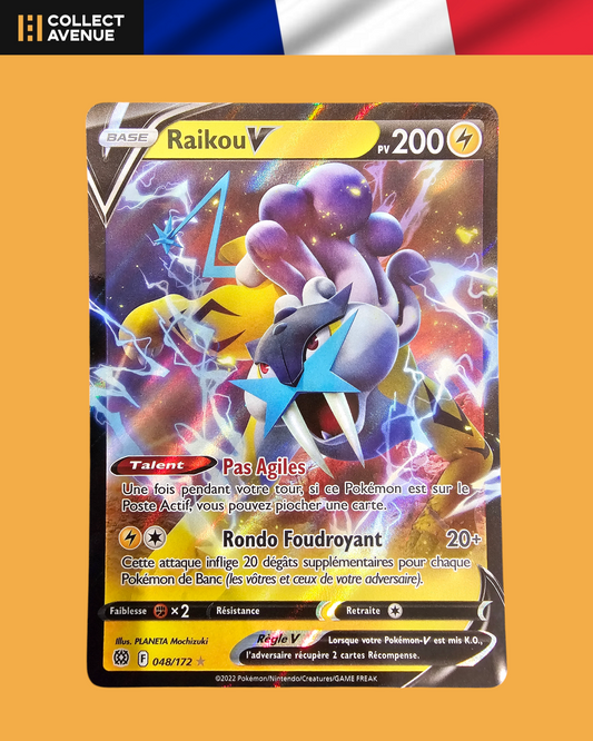 🚦Raikou V 048/172 FR🚦