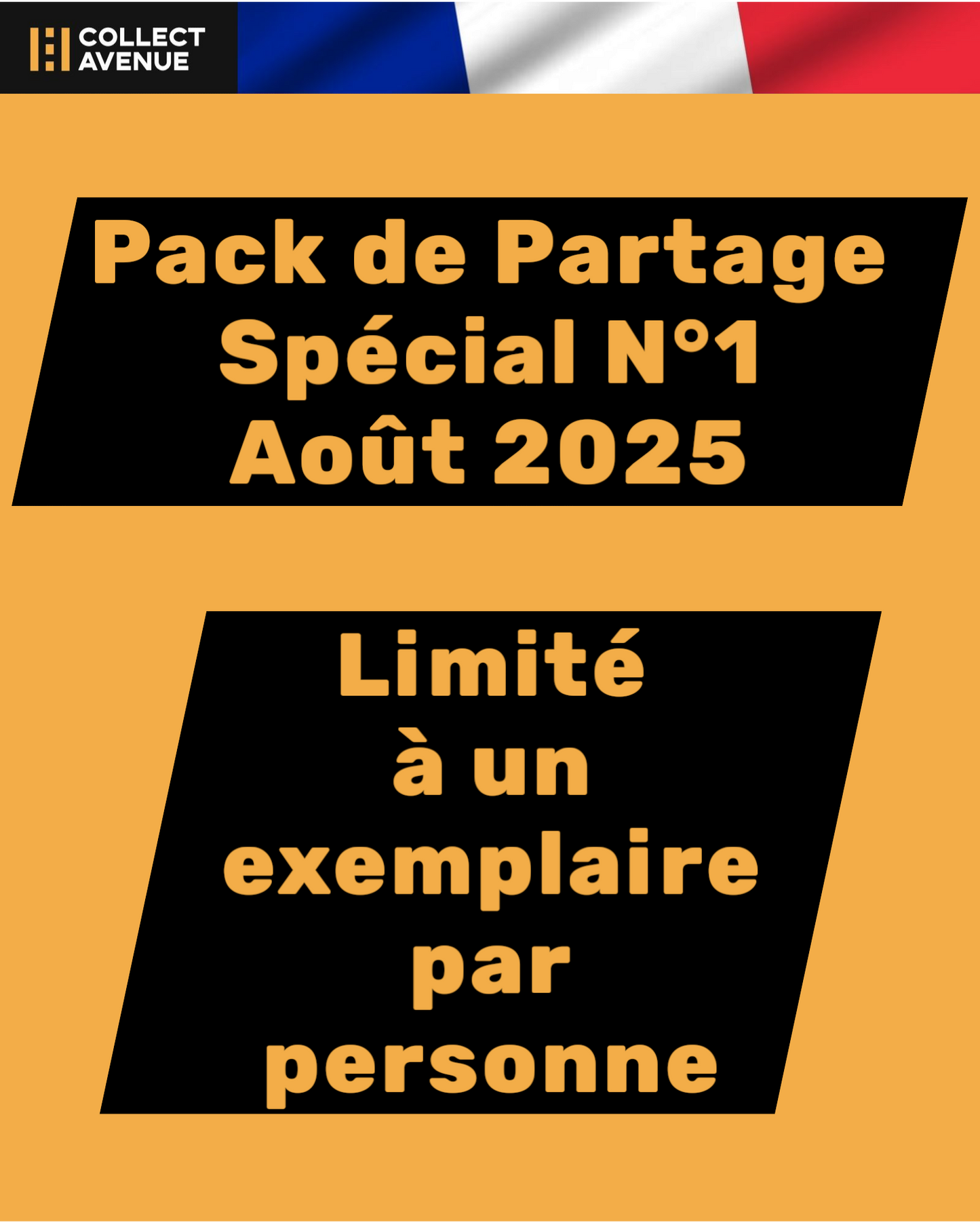 🚦Pokémon - Pack de Partage Spécial N°1 Août 2025 FR🚦