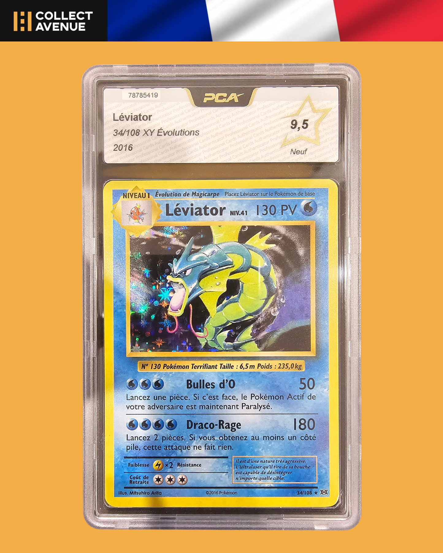 🚦PCA 9,5 Pokémon Léviator Holo 34/108 XY Evolutions FR🚦