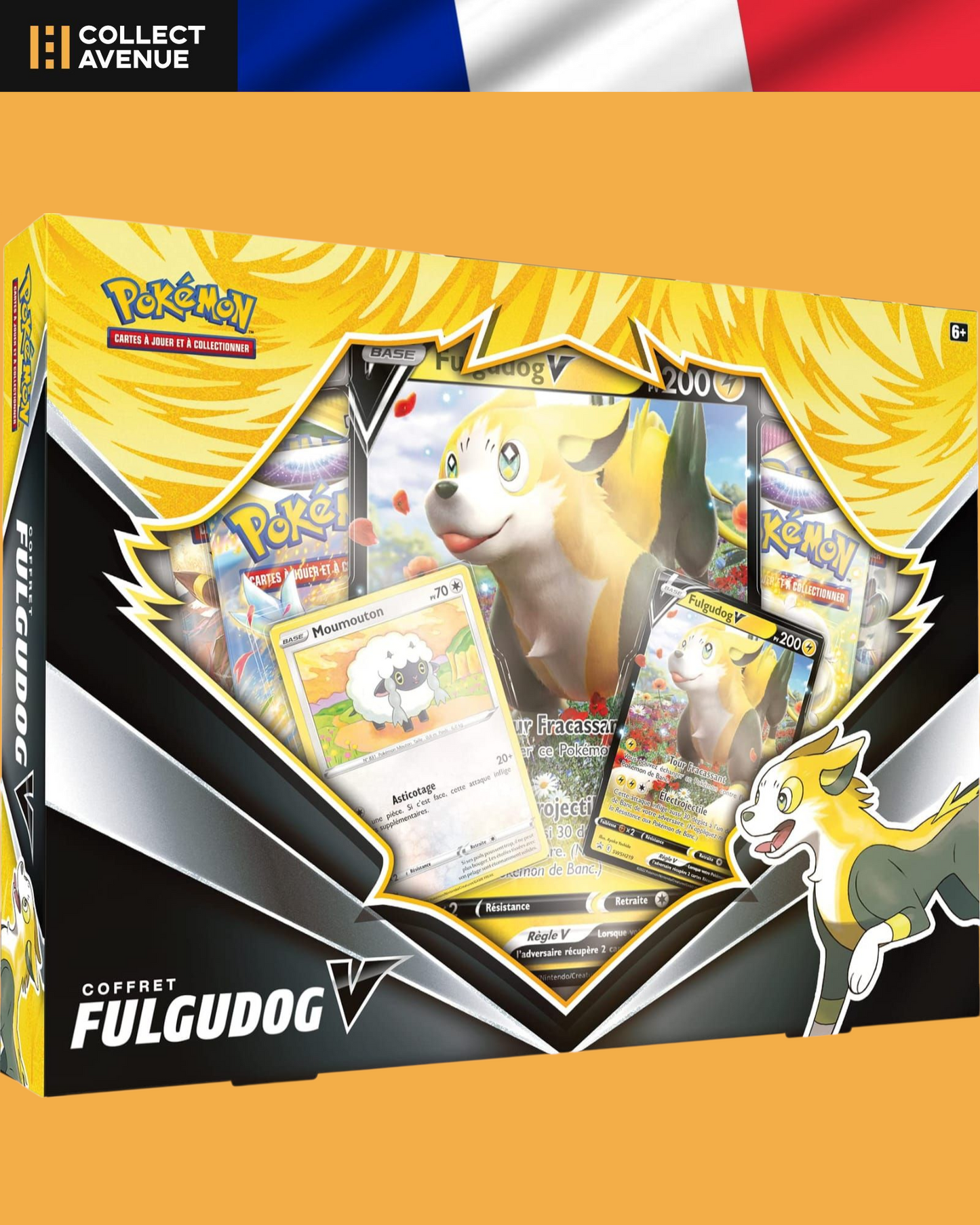 🚦Pokémon - MASTER BOX DE NOËL - FR🚦