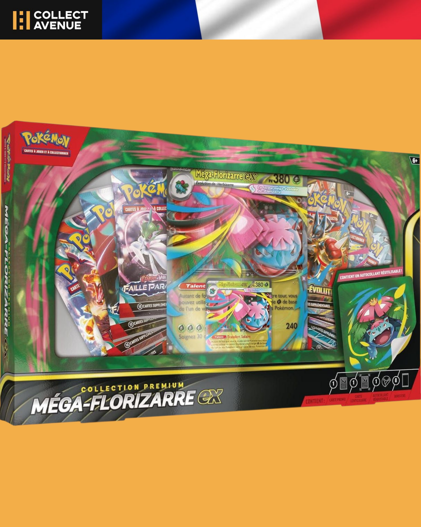 🚦Pokémon - MASTER BOX DE NOËL - FR🚦